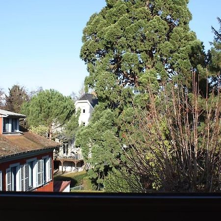 Superb Apt- Garden- 3 Parkings, Near Petite Venise ! Colmar Zewnętrze zdjęcie