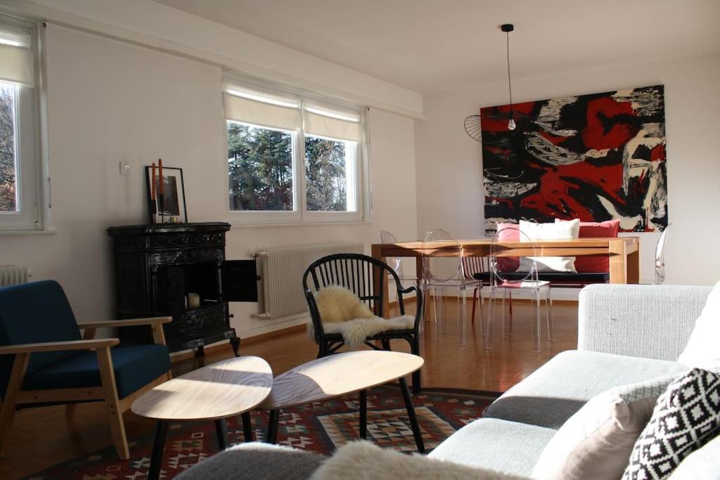 Superb Apt- Garden- 3 Parkings, Near Petite Venise ! Colmar Zewnętrze zdjęcie