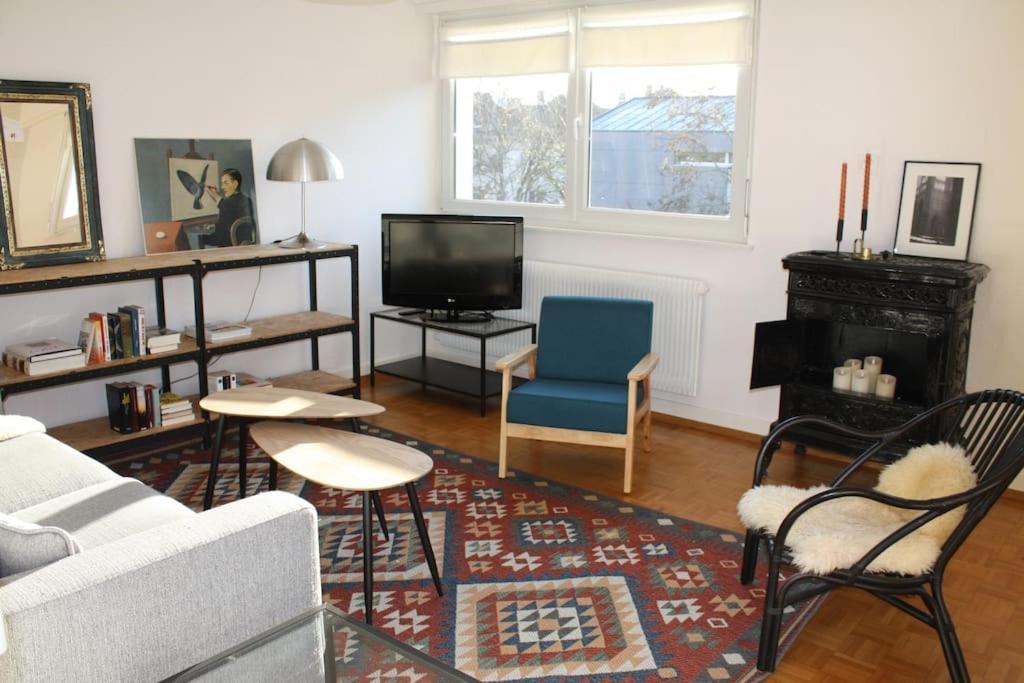 Superb Apt- Garden- 3 Parkings, Near Petite Venise ! Colmar Zewnętrze zdjęcie