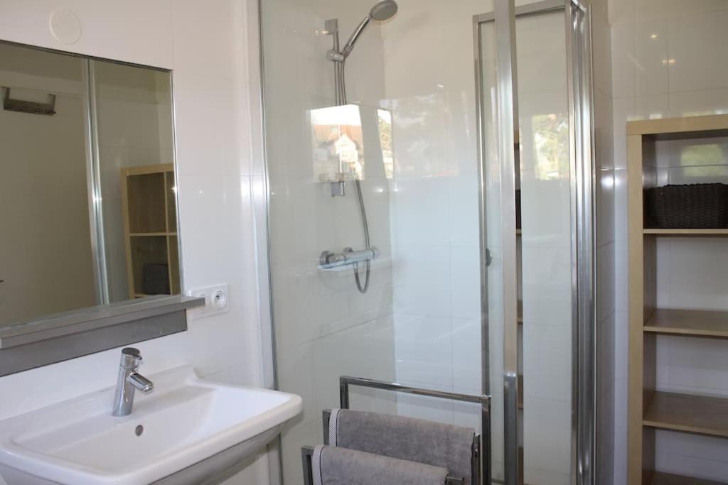 Superb Apt- Garden- 3 Parkings, Near Petite Venise ! Colmar Zewnętrze zdjęcie