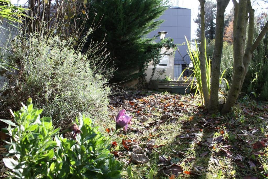 Superb Apt- Garden- 3 Parkings, Near Petite Venise ! Colmar Zewnętrze zdjęcie