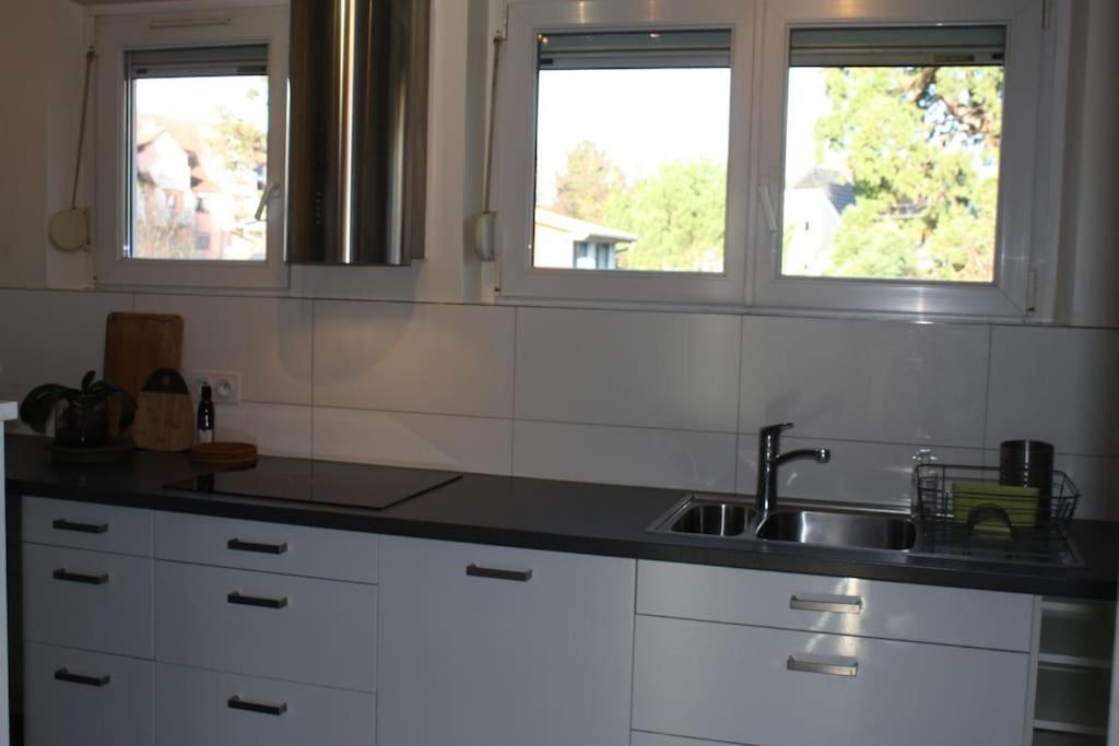 Superb Apt- Garden- 3 Parkings, Near Petite Venise ! Colmar Zewnętrze zdjęcie