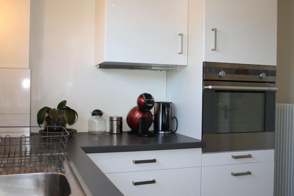 Superb Apt- Garden- 3 Parkings, Near Petite Venise ! Colmar Zewnętrze zdjęcie