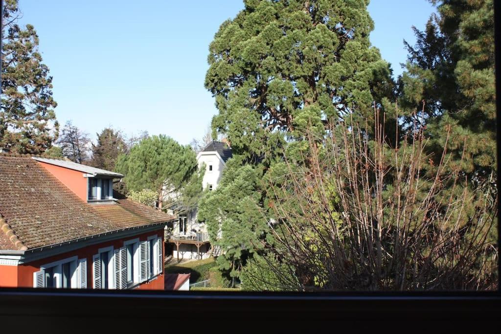 Superb Apt- Garden- 3 Parkings, Near Petite Venise ! Colmar Zewnętrze zdjęcie
