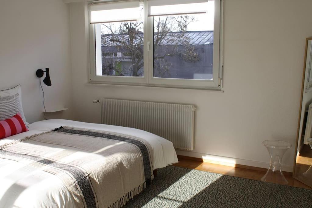 Superb Apt- Garden- 3 Parkings, Near Petite Venise ! Colmar Zewnętrze zdjęcie